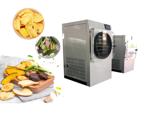 China Electric Heating Small Home Freeze Dryer SUS304 For Fruit And Vegetable supplier