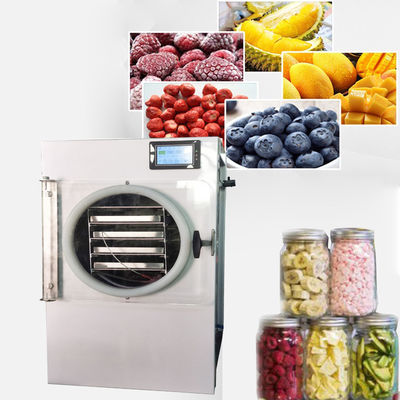 China 8kg Vacuum Small Freeze Dryer For Beef Jerky Fish Meat Chicken supplier