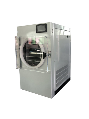 China Auto Protection Food Freeze Drying Machine Home Use With Pump supplier