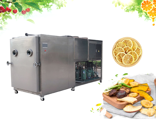 China Root Vegetables Freeze Dryer Machine Bizter Compressor 10m2 100kg SUS304 supplier