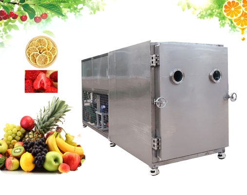 China SUS304 Freeze Dryer Machine 100kg Capacity For Root Vegetables supplier