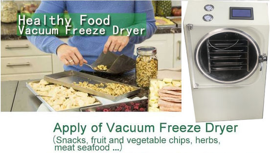 6-8kg capacity mini food dryer/food freeze dryer machine from China manufacturer supplier