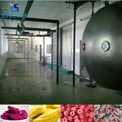 Energy Saving Vacuum Freeze Drying Machine , Automatic Freeze Dryer supplier