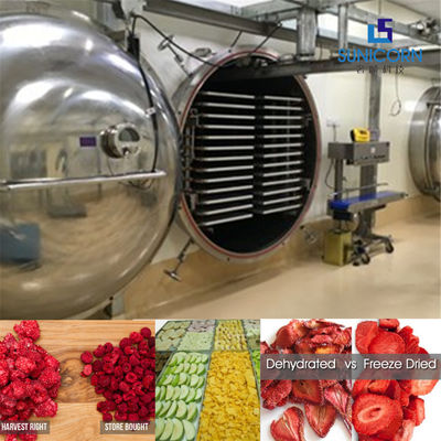 Energy Saving Vacuum Freeze Drying Machine , Automatic Freeze Dryer supplier