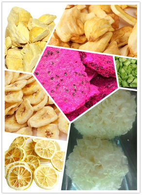 Food Fruit Vegtable Home Freeze Drying Equipment With SUS304 Tank supplier