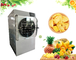 Mini Food Food Freeze Drying Machine Electric Heating supplier